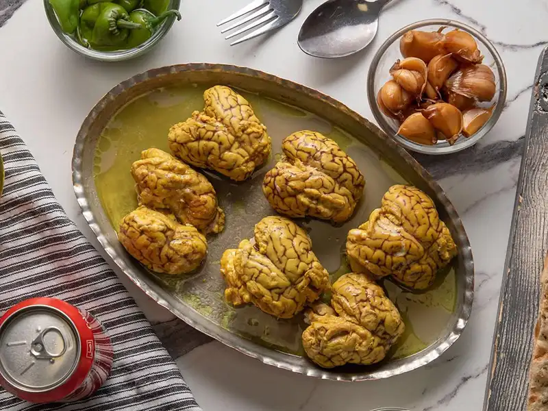 خواص مغز گوسفند