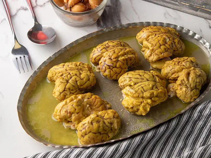 خواص مغز گوسفند