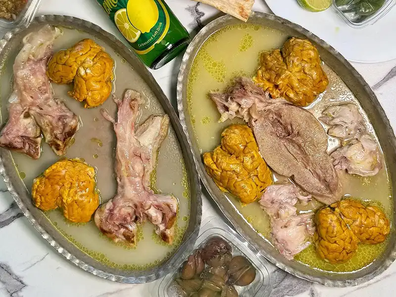 خواص مغز گوسفند