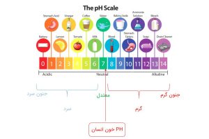 ph یا طبع بدن انسان