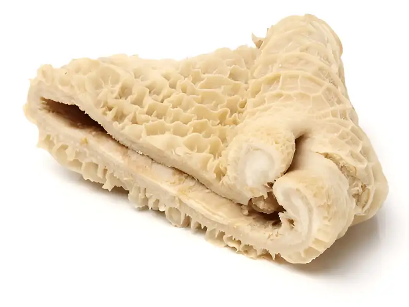 سیرابی گوساله