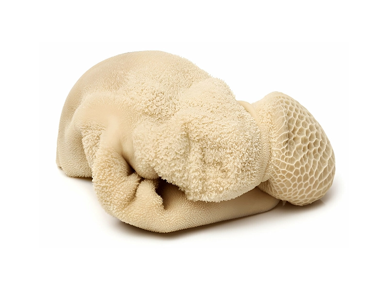 سیرابی گوسفند