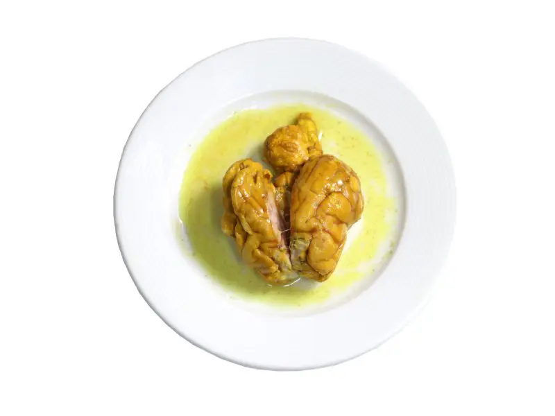 عکس مغز گوسفندی