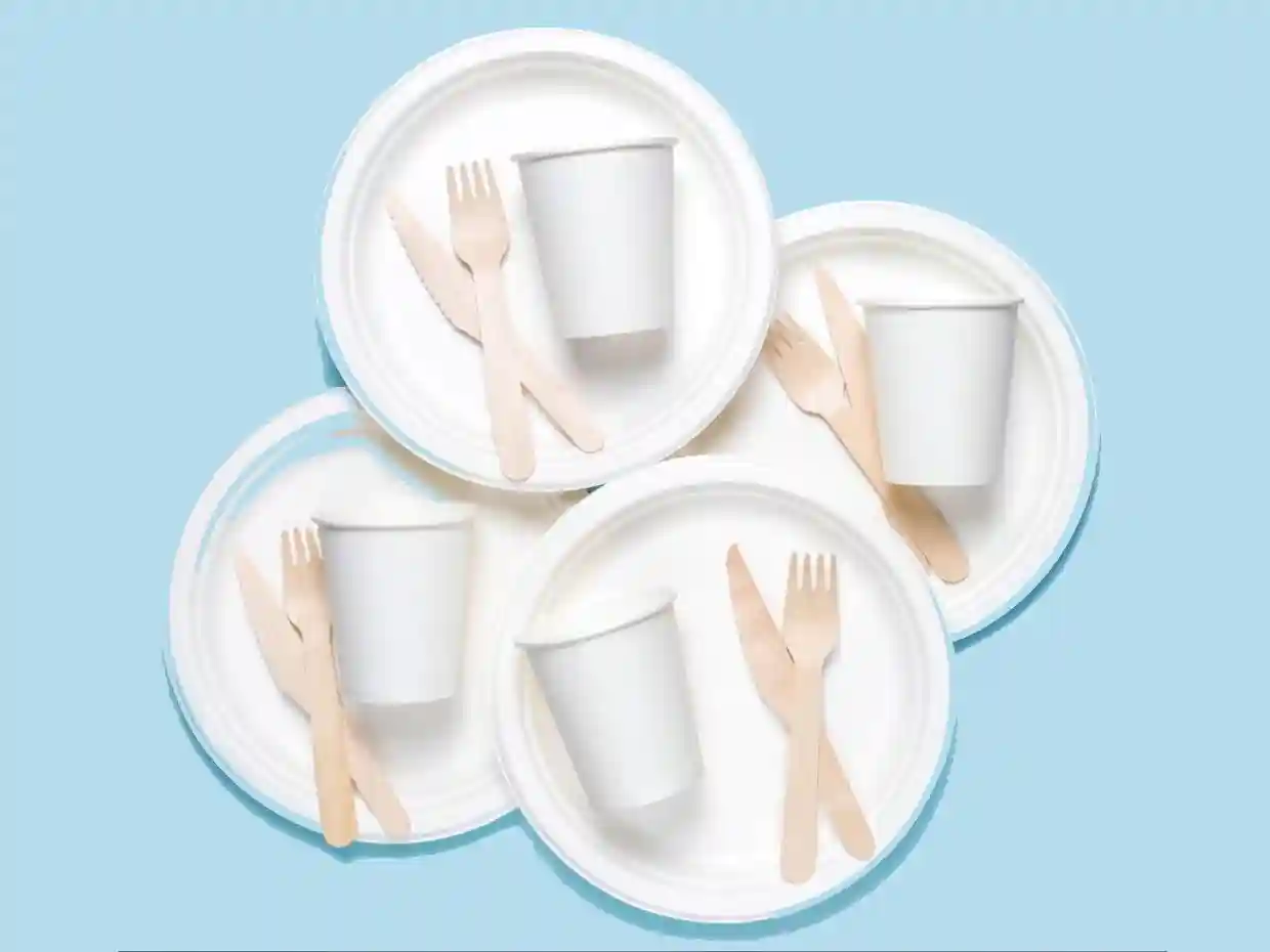 ظروف یکبار مصرف براساس جنس