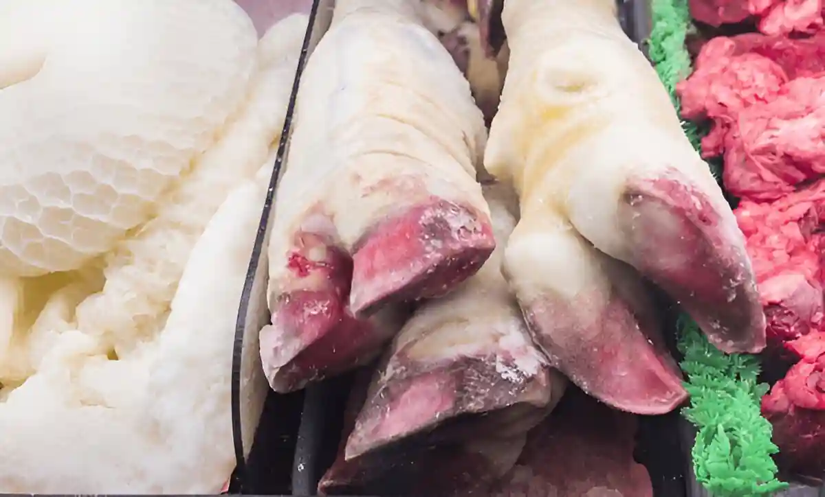 خواص پاچه گوساله