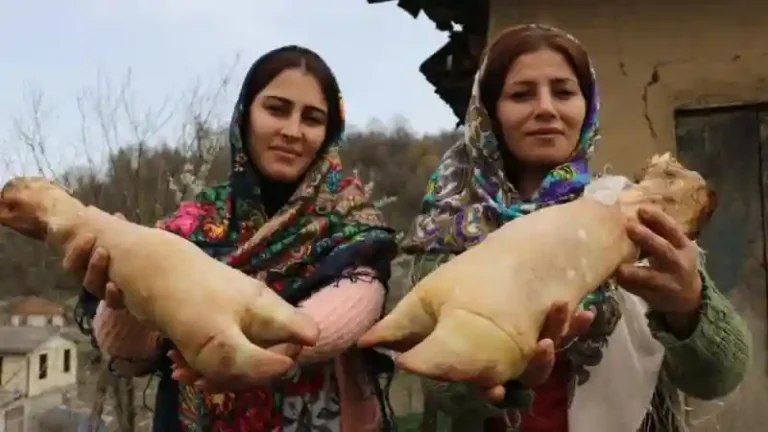 خواص پاچه گوساله