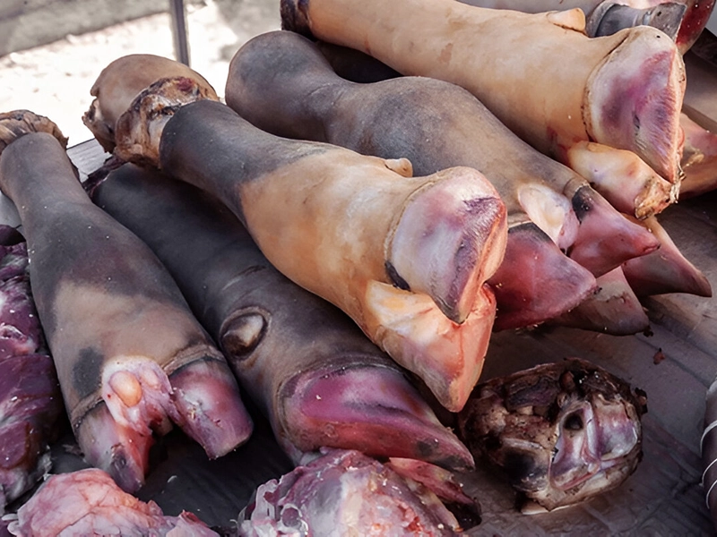 پاچه گوساله