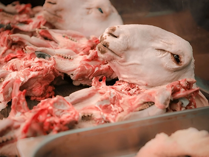 کله پاچه گوسفندی 