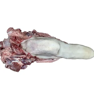 زبان گوساله