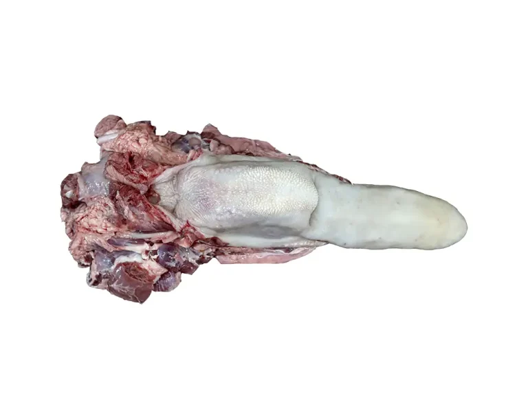 زبان گوساله