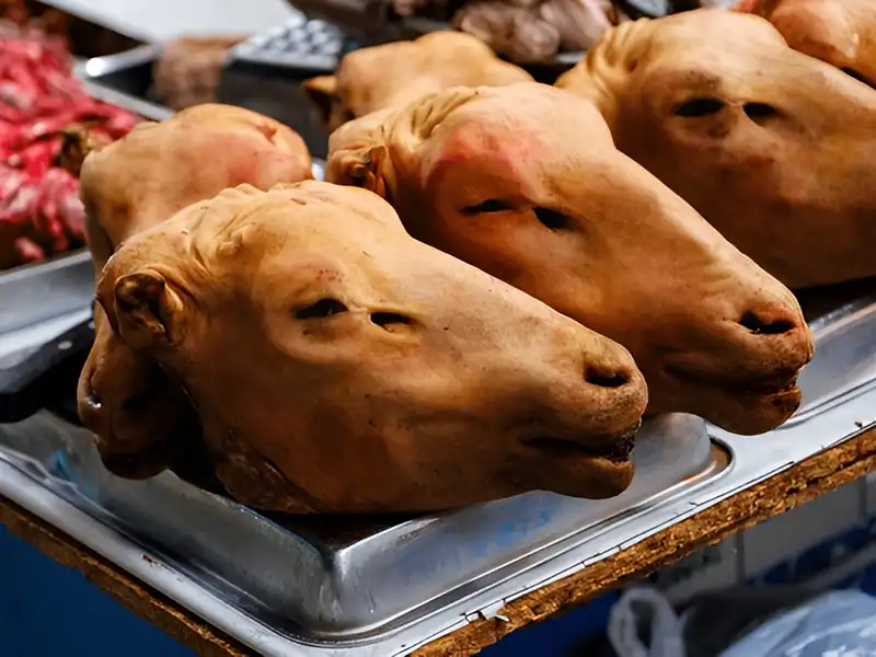 کله پاچه خام