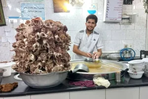 طباخی دوستان دزاشیب